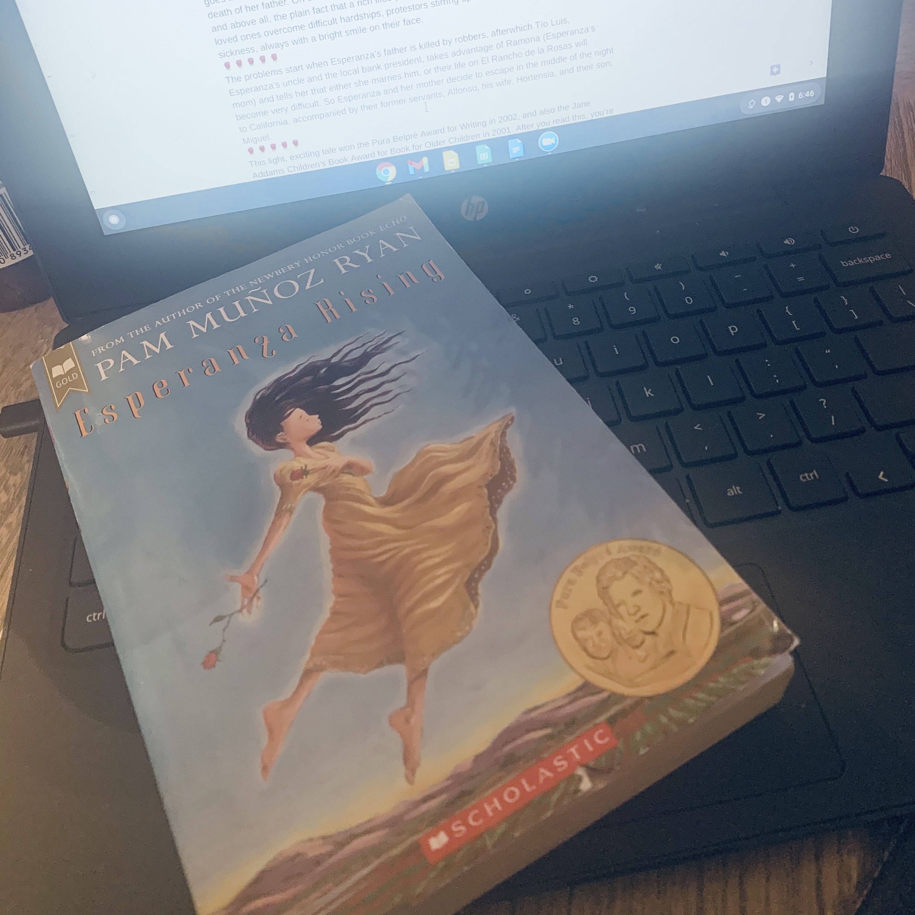 book review on esperanza rising