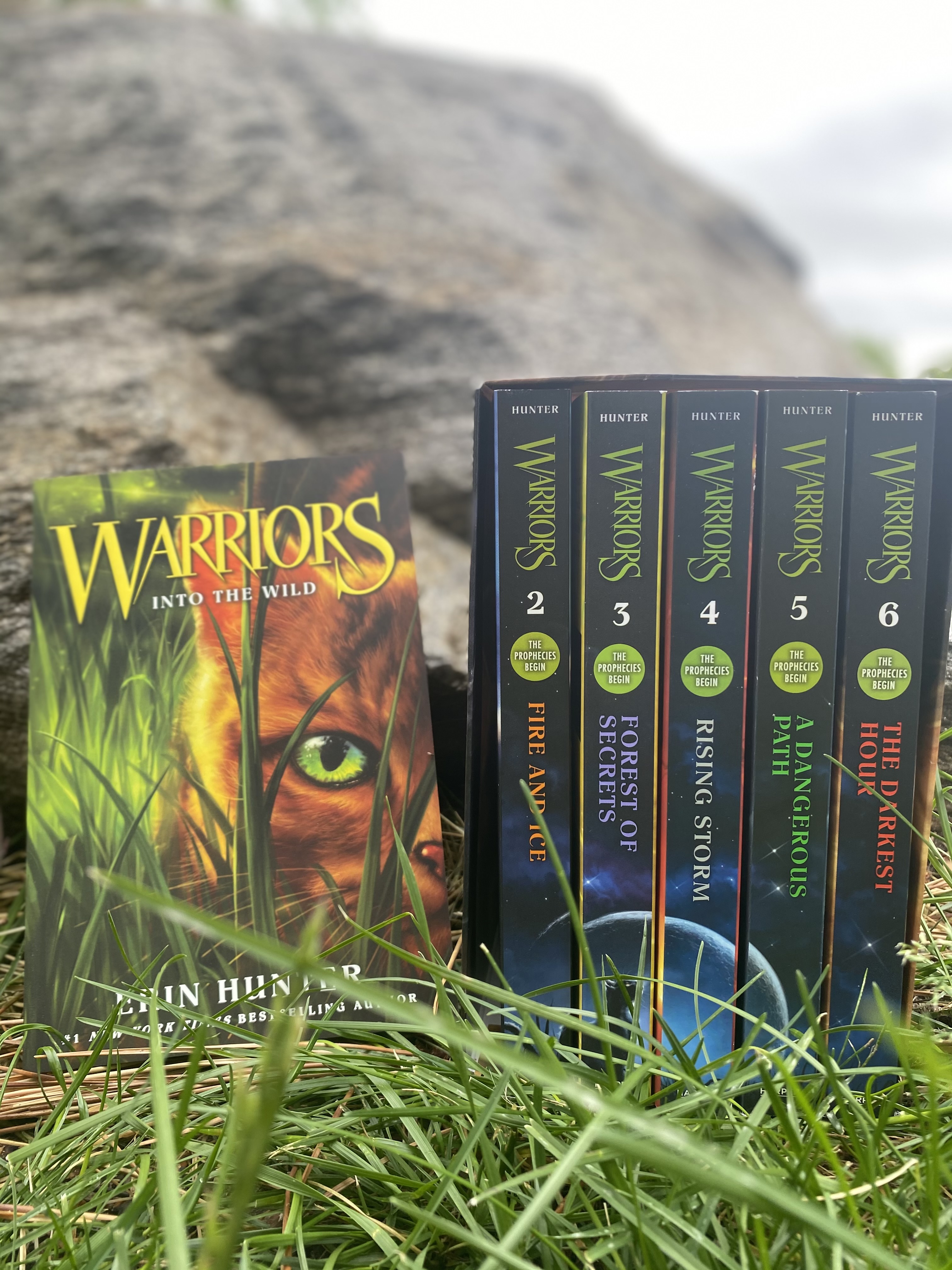 Warriors Cats Series 2 The Prophecy by Erin Hunter 6 Books Set for